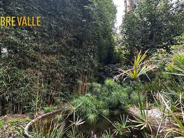 VENTA CASA EN VALLE DE BRAVO - CASA DELICIAS