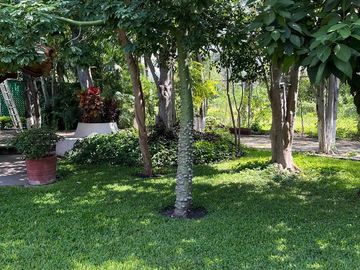 Casa en condominio en  VENTA en Real de Tezoyuca, Morelos