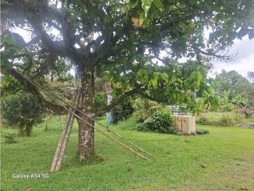 Venta Finca Circasia Quindio - Colombia COD: 8437375