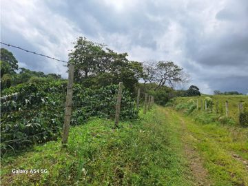 Venta Finca Circasia Quindio - Colombia COD: 8437375