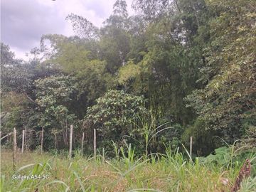Venta Finca Circasia Quindio - Colombia COD: 8437375