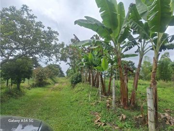 Venta Finca Circasia Quindio - Colombia COD: 8437375