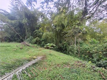Venta Finca Circasia Quindio - Colombia COD: 8437375