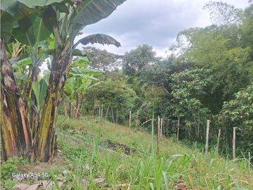 Venta Finca Circasia Quindio - Colombia COD: 8437375