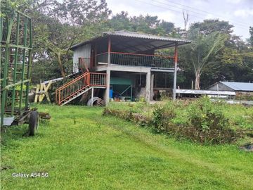 Venta Finca Circasia Quindio - Colombia COD: 8437375