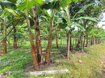 Venta Finca Circasia Quindio - Colombia COD: 8437375