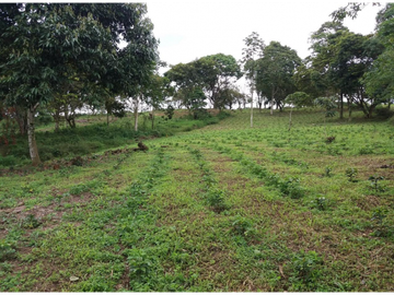 Venta Finca Circasia Quindio - Colombia COD: 8437375