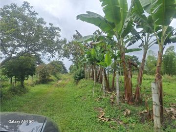 Venta Finca Circasia Quindio - Colombia COD: 8437375
