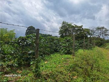 Venta Finca Circasia Quindio - Colombia COD: 8437375