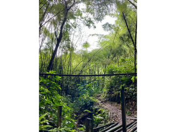 Venta Finca Circasia Quindio - Colombia COD: 8437375