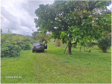 Venta Finca Circasia Quindio - Colombia COD: 8437375