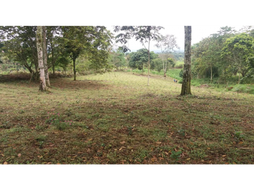 Venta Finca Circasia Quindio - Colombia COD: 8437375