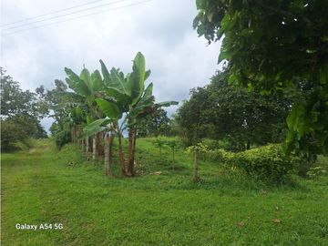 Venta Finca Circasia Quindio - Colombia COD: 8437375