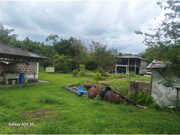 Venta Finca Circasia Quindio - Colombia COD: 8437375