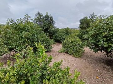 VENDO QUINTA EN GUAYLLABAMBA