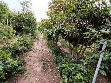 VENDO QUINTA EN GUAYLLABAMBA