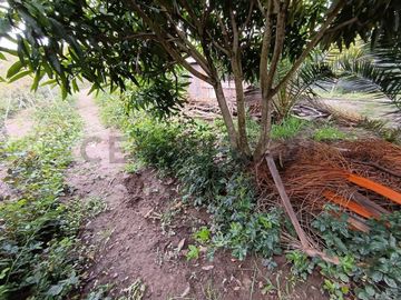 VENDO QUINTA EN GUAYLLABAMBA