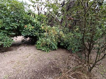 VENDO QUINTA EN GUAYLLABAMBA