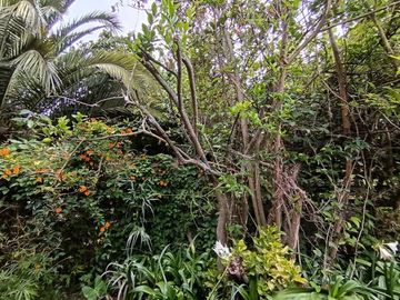 VENDO QUINTA EN GUAYLLABAMBA