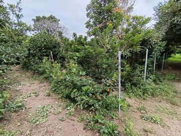 VENDO QUINTA EN GUAYLLABAMBA