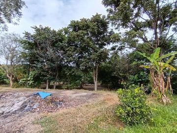 VENDO QUINTA EN GUAYLLABAMBA