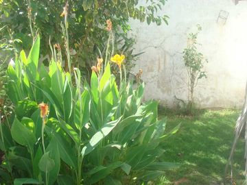 Carlos Calvo 2800, Remedios de Escalada ¡Casa 3 ambientes en Venta!