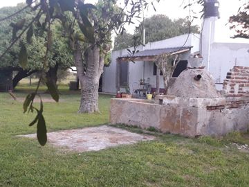 Quinta - Dolores