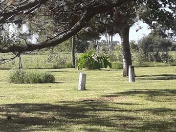 Quinta - Dolores
