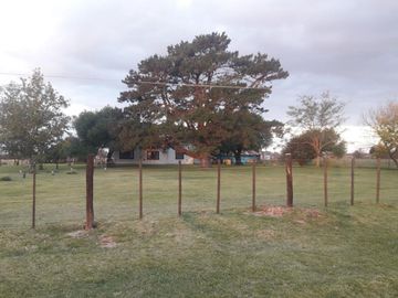 Quinta - Dolores