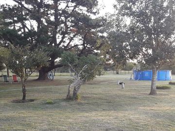 Quinta - Dolores