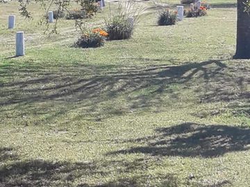 Quinta - Dolores