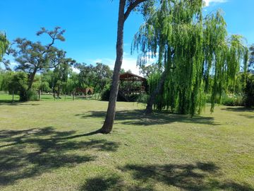 Casa en  venta Delta Tigre