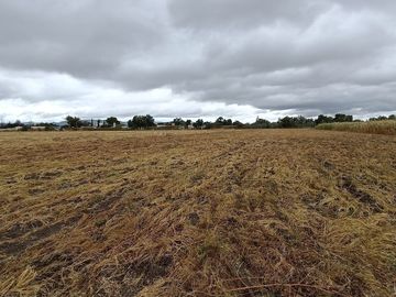 RANCHO EN VENTA EN  DOCTOR MORA GUANAJUATO