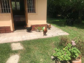Quinta a 8 cuadras de la estacion! lote de 1000mts