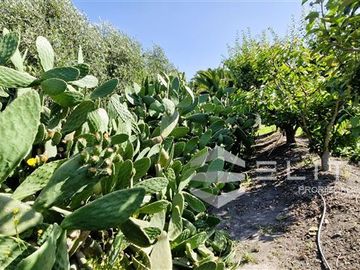 Parcela en Venta en (JDS) Camino La Capilla, parcela, ruta 396 CH, San Pedro, Quillota