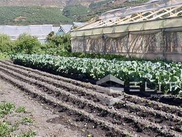 Parcela en Venta en (JDS) Camino La Capilla, parcela, ruta 396 CH, San Pedro, Quillota