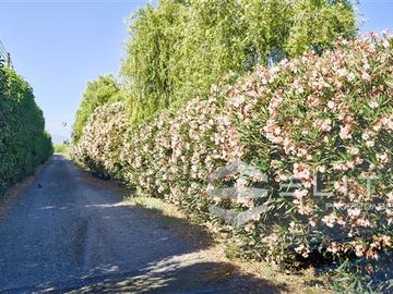 Parcela en Venta en (JDS) Camino La Capilla, parcela, ruta 396 CH, San Pedro, Quillota