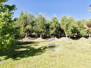 Parcela en Venta en (JDS) Camino La Capilla, parcela, ruta 396 CH, San Pedro, Quillota
