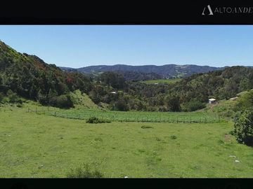 Sitio en Venta en Lomas de catruman