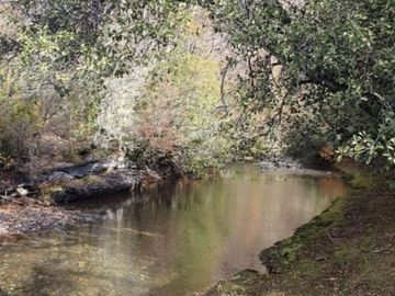 Parcela en Venta en CAUQUENES