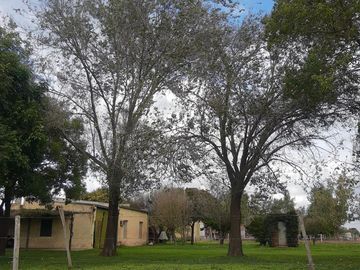 Terreno en Esperanza