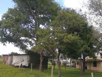 Terreno en Esperanza