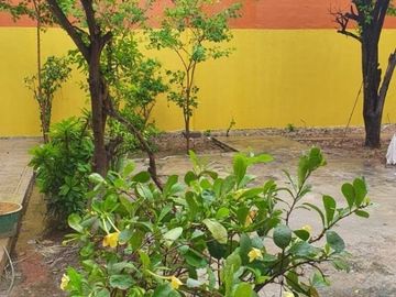 VENTA DE CASA EN EL CENTRO.