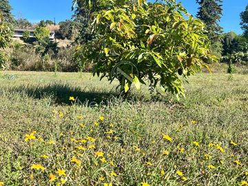 Terreno en Venta en San Juan Atezcapan, Valle de Bravo