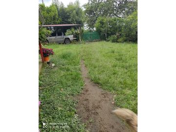 SE VENDE FINCA PRODUCTIVA EN FILANDIA QUINDO