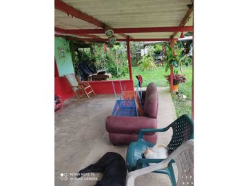 SE VENDE FINCA PRODUCTIVA EN FILANDIA QUINDO