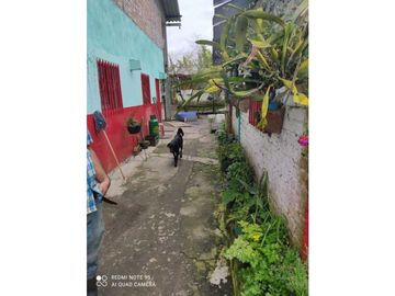 SE VENDE FINCA PRODUCTIVA EN FILANDIA QUINDO
