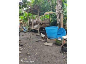 SE VENDE FINCA PRODUCTIVA EN FILANDIA QUINDO