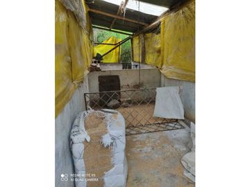SE VENDE FINCA PRODUCTIVA EN FILANDIA QUINDO