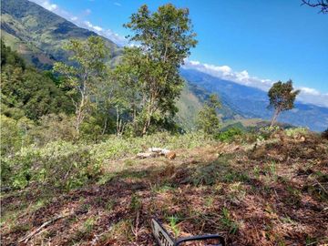 SE VENDE FINCA EN GENOVA QUINDIO